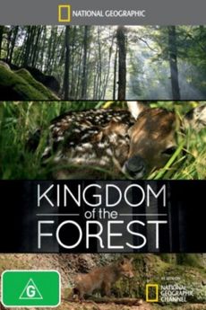 Království lesa
