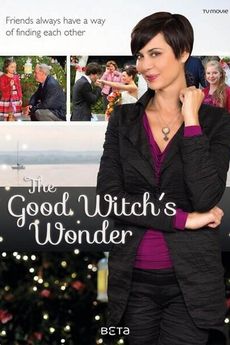 The Good Witchs Wonder