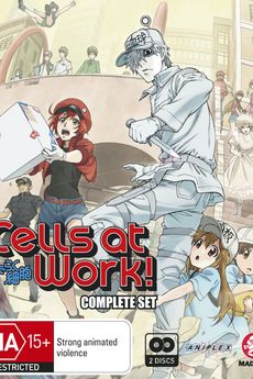 Cells at Work!