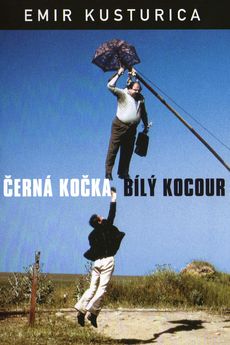 Černá kočka, bílý kocour