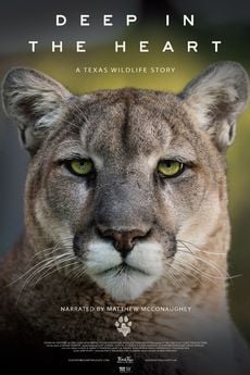 Deep in the Heart: A Texas Wildlife Story