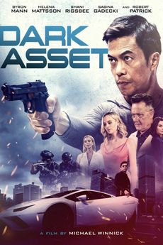Dark Asset