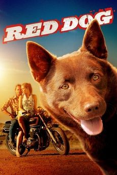 Red Dog - psí legenda