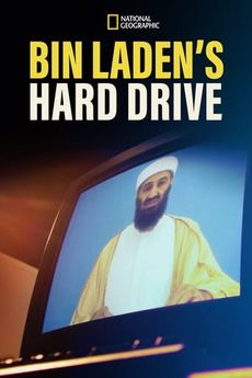Bin Ládinova data