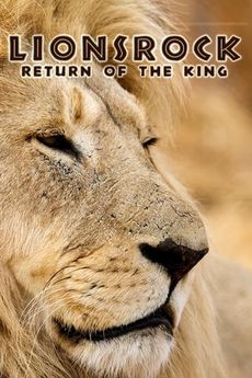 Návrat lvího krále