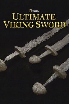 Jedinečný vikingský meč