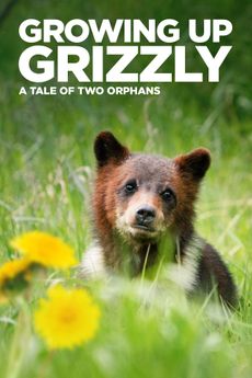 Growing Up Grizzly: A Tale of Two Orphans