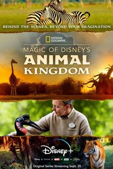 Magic of Disneys Animal Kingdom