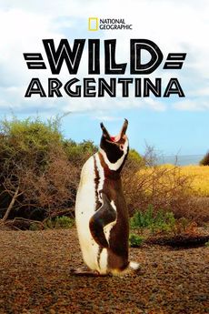 Divoká Argentina