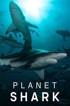 Planeta žraloků